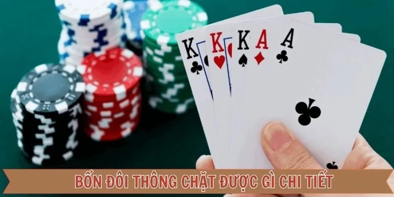 Bốn đôi thông chặt được gì? Từ các chuyên gia